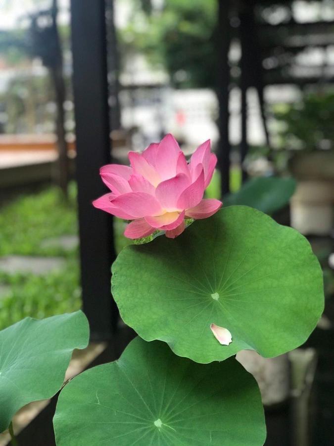 The Wishes Hotel At Chiangmai Chiang Mai Exterior foto